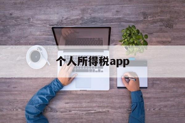 个人所得税app(个人所得税app咨询电话)